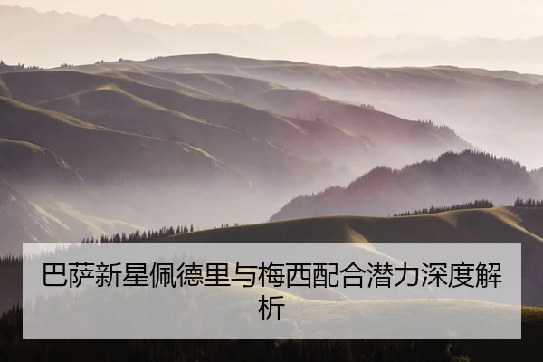 ba-sa-xin-xing-pei-de-li-yu-mei-xi-pei-he-qian-li-shen-du-jie-xi-2-113.jpg