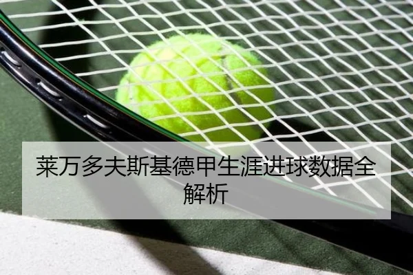 莱万多夫斯基德甲生涯进球数据全解析